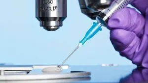 fecundación in Vitro