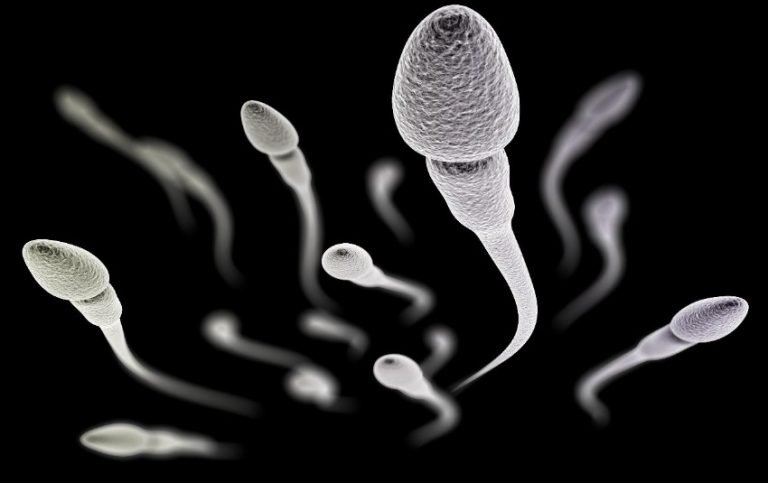 aumentar la cantidad de espermatozoides