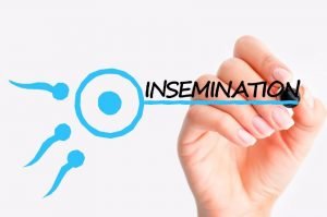 inseminación artificial en casa
