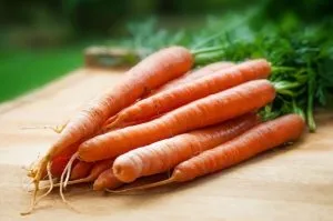zanahorias y vida sana
