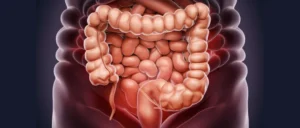 limpieza de colon